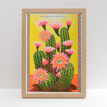 Printer Johnson, Vicki Johnson | Cactus, Risograph Print, A3