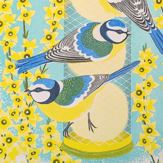 Printer Johnson, Vicki Johnson | Blue Tits & Forsythia, Risograph Print, A4