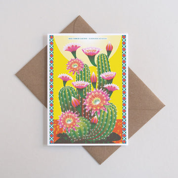 Printer Johnson, Vicki Johnson | Cactus , Greeting Card